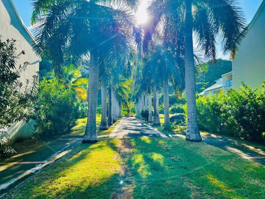 Le Palmier Bleu, Cocon Tropical, Plage & Piscine Anse Marcel Exterior photo